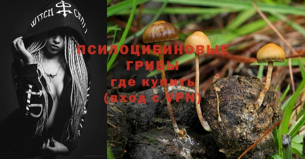 a pvp Гусь-Хрустальный