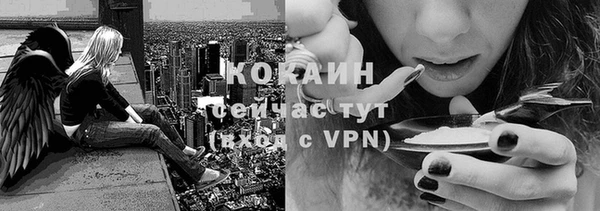 a pvp Гусь-Хрустальный