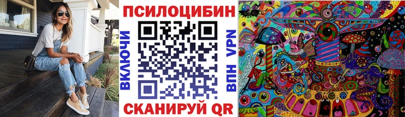 Купить где  Новочебоксарск  Псилоцибиновые грибы мухоморы 