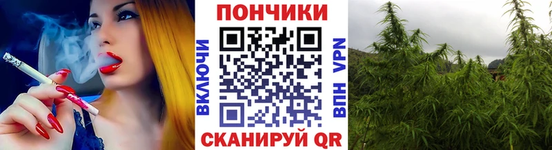 Купить закладки  Новочебоксарск  Канабис SATIVA & INDICA 